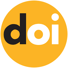 what is DOI?